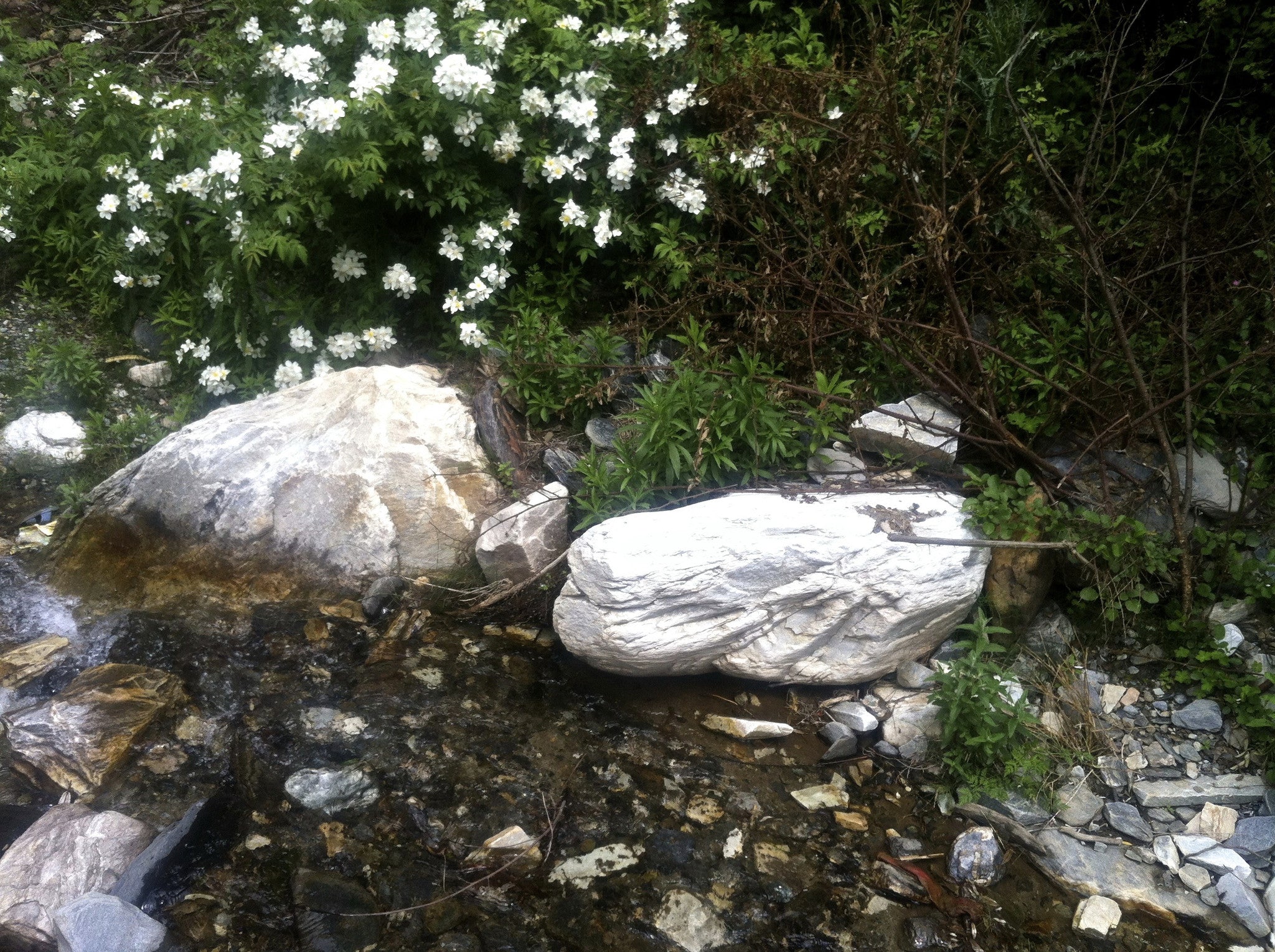 AND THE MOUNTAINS ECHOED