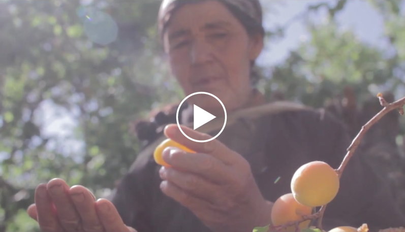 AYURVEDA | ANCIENT WISDOM FOR A MODERN LIFESTYLE