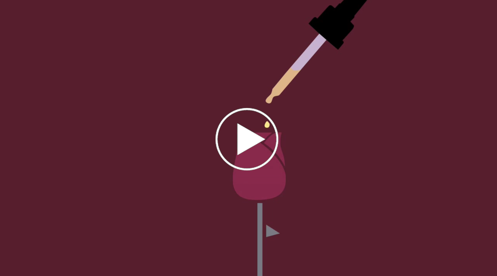 ROSEHIPS FOR VALENTINES!