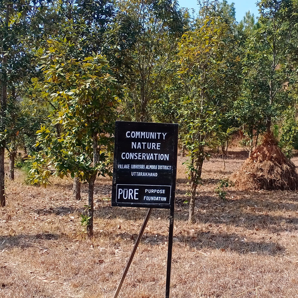 PPF AFFORESTATION DRIVE