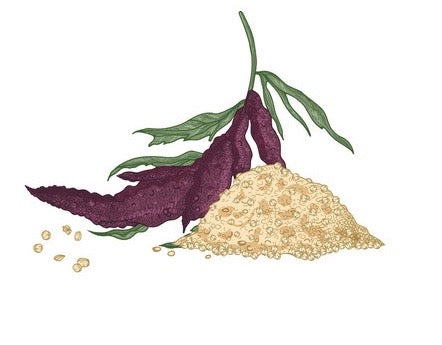 Ingredient Spotlight: Amaranth
