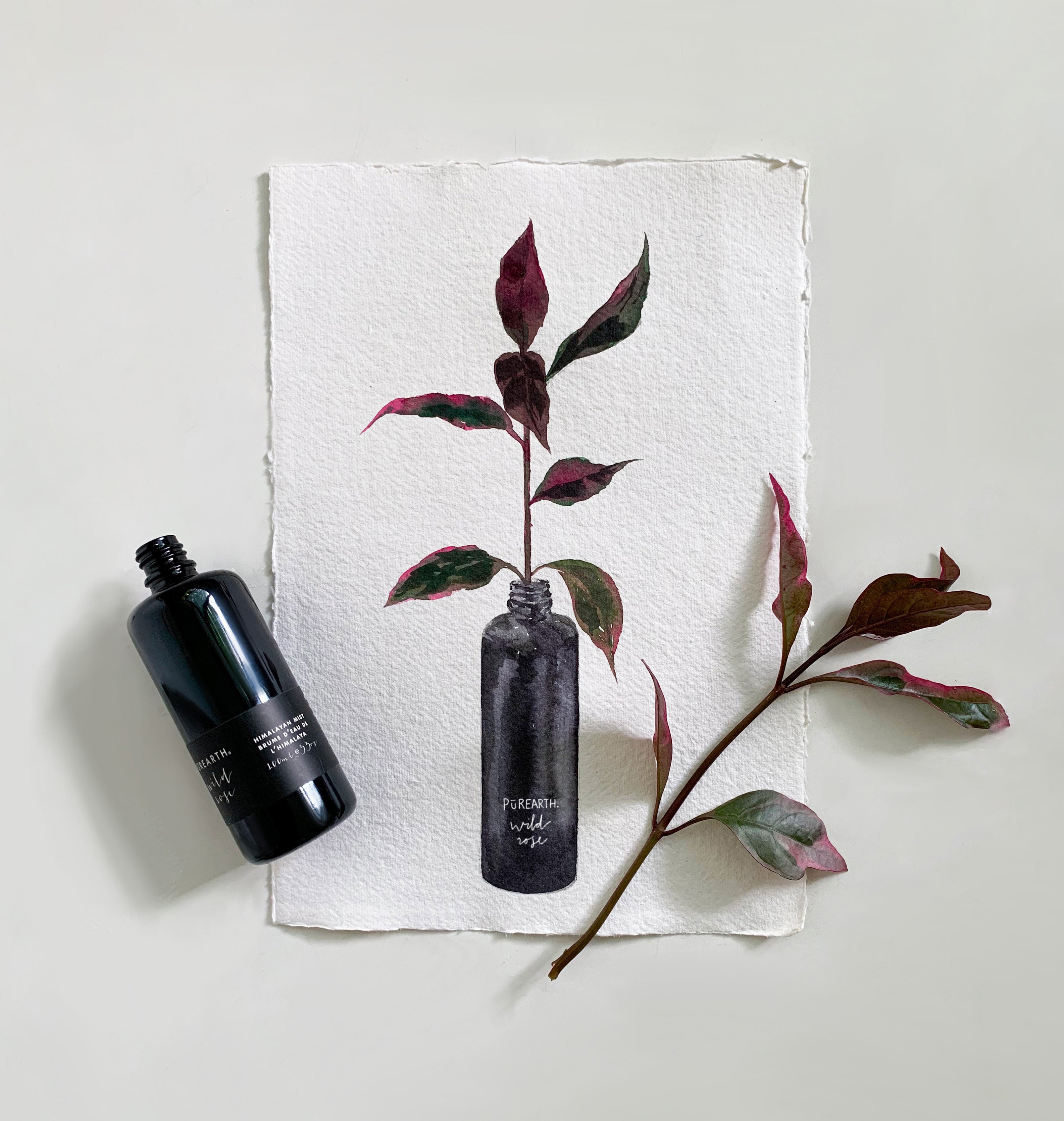 THE RECYCLING PROGRAM