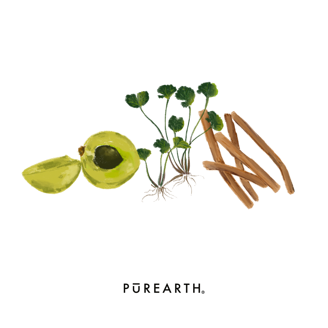 Amla, Gotu Kola & Yashthi Madhu: The Ayurvedic Power Trio