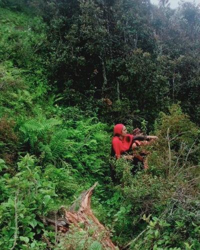 ROSEHIP HARVEST SEASON