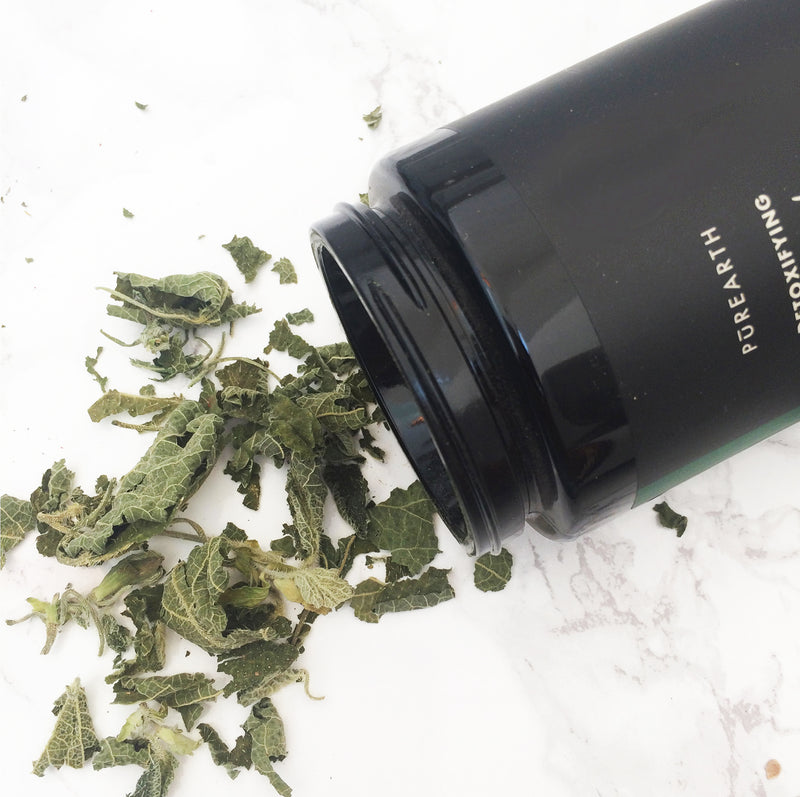Detox Wild Nettle & Cacao Tisane Infusion