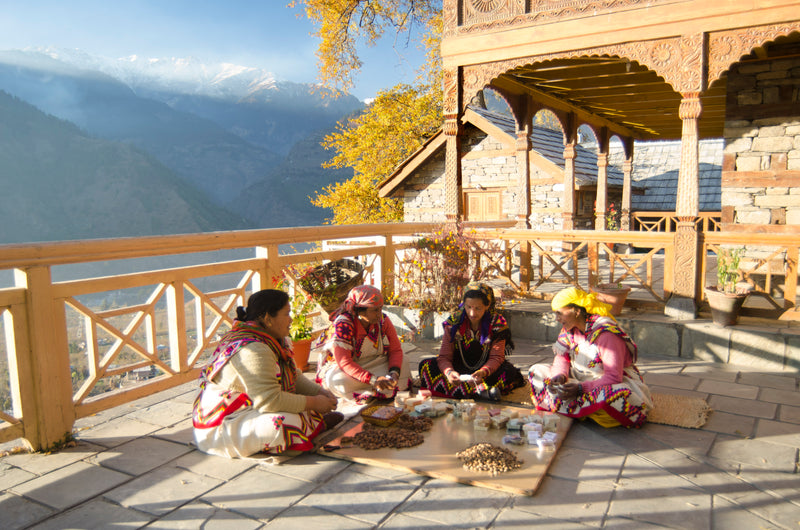 Immunoboost Wild Rosehip & Mint Tisane Infusion