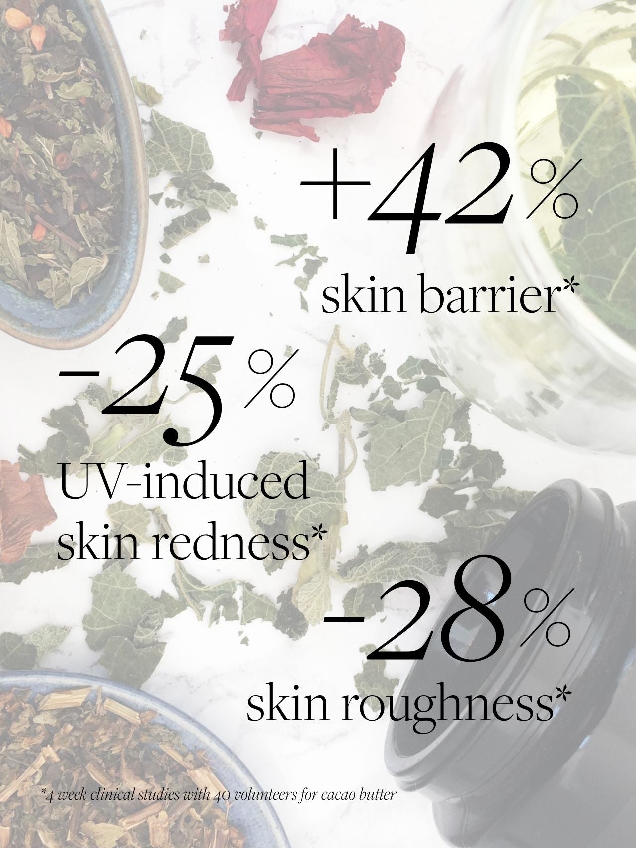 Wild Nettle & Cacao Detox Tisane Infusion