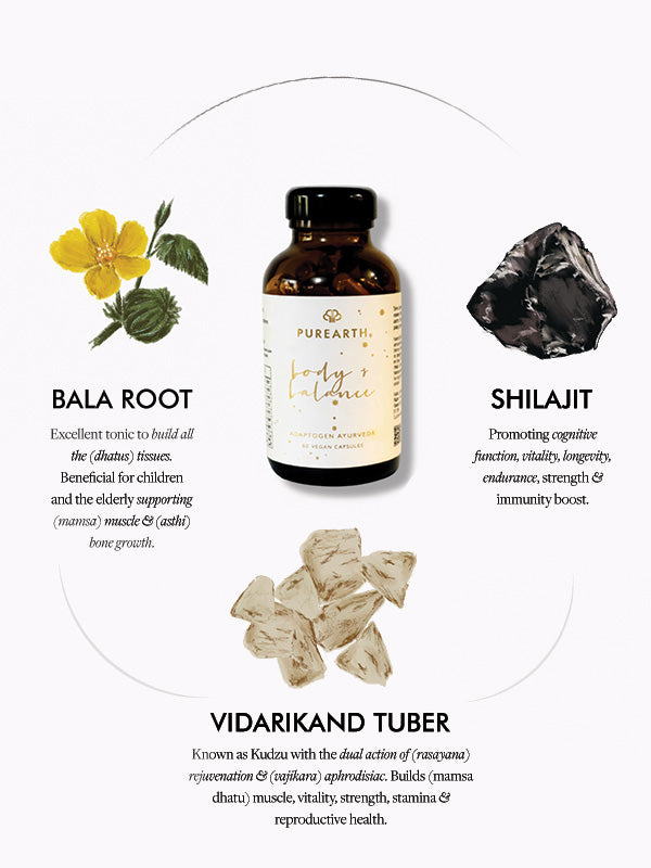 Body & Balance Ayurvedic Supplement