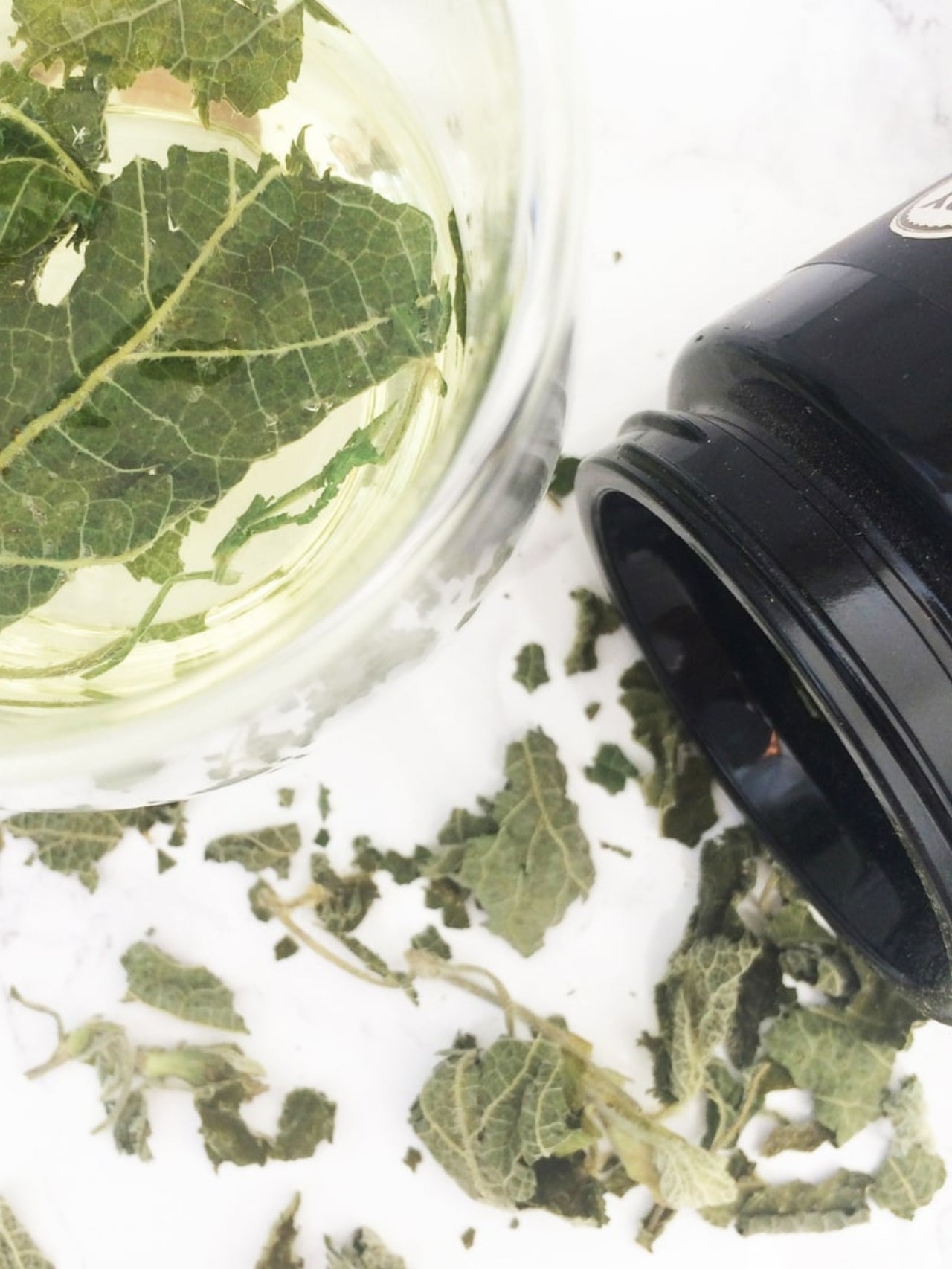 Wild Nettle & Cacao Detox Tisane Infusion