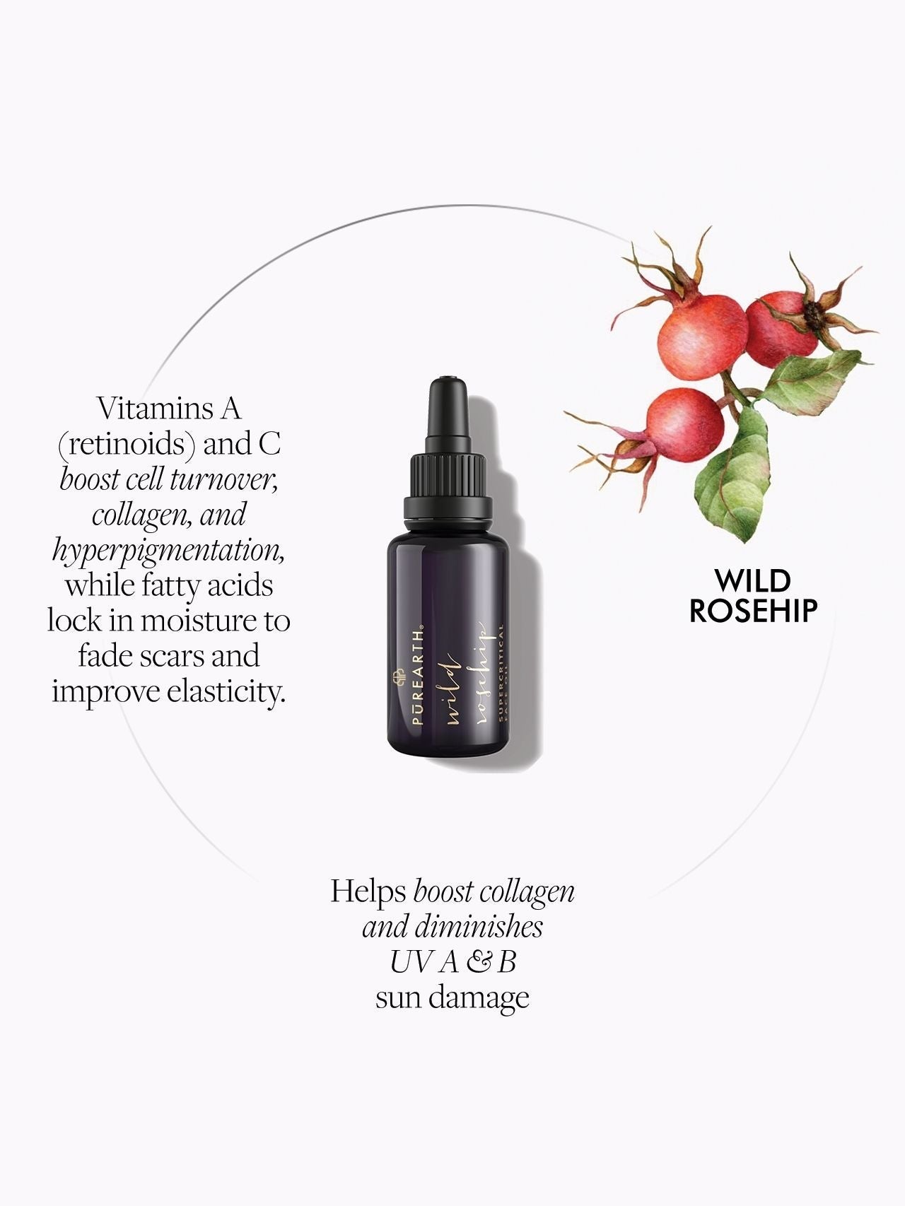 Wild Rosehip Supercritical Face Oil - Provitamin A Regenerative Elixir