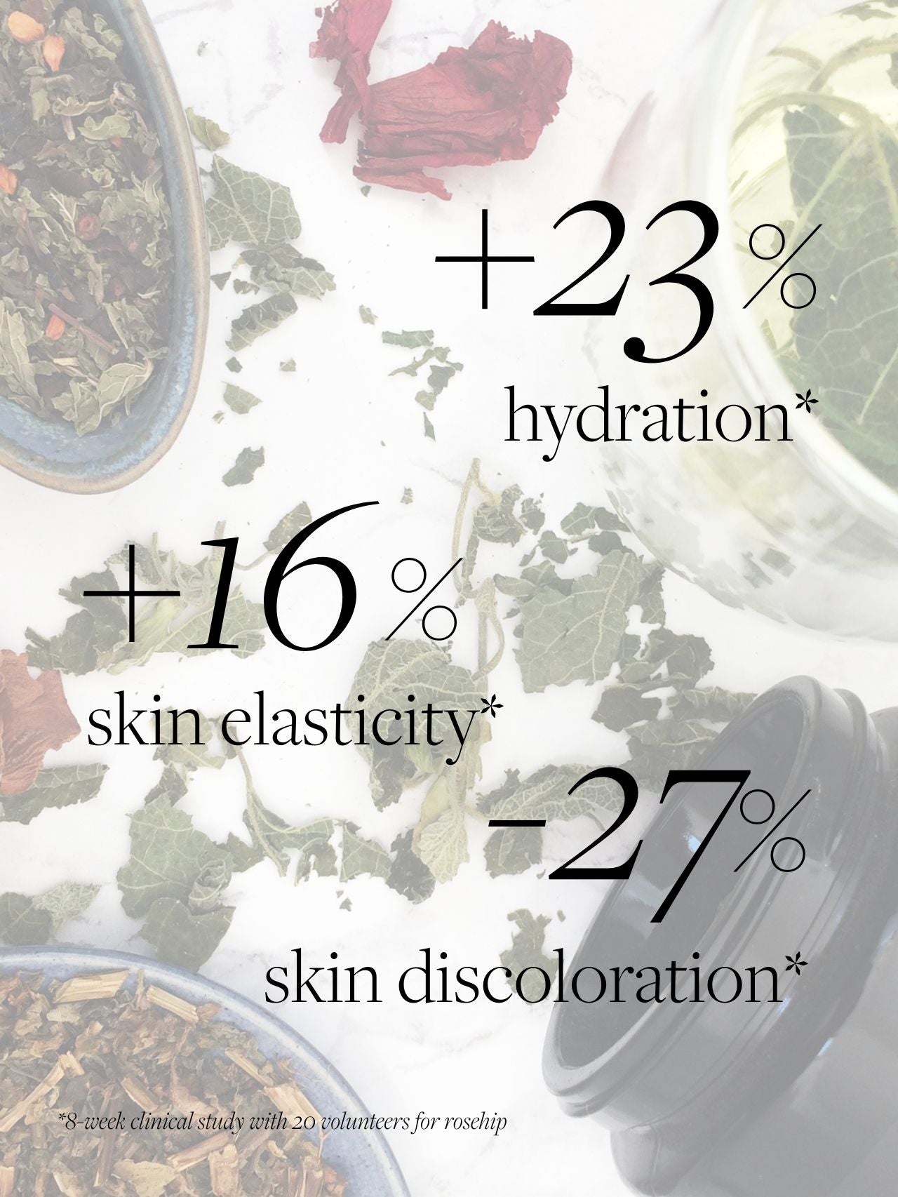 Wild Rosehip & Mint Immunoboost Tisane Infusion